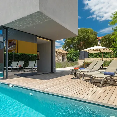 Hello Sunshine 波雷奇